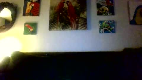Snapshot of jay_jay1475 chatting on 12-19-24, 01:39 jay-jay1475 online show from 12-19-24, 01:39