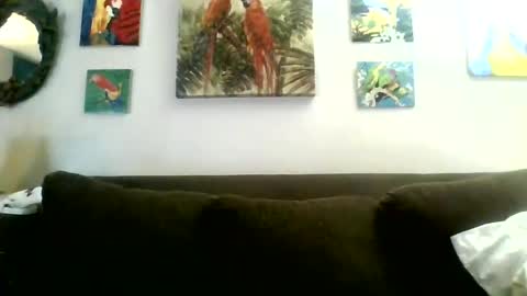 Snapshot of jay_jay1475 chatting on 01-30-25, 08:31 jay-jay1475 online show from 01-30-25, 08:31