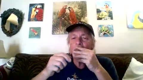 Snapshot of jay_jay1475 chatting on 02-08-25, 06:33 jay-jay1475 online show from 02-08-25, 06:33