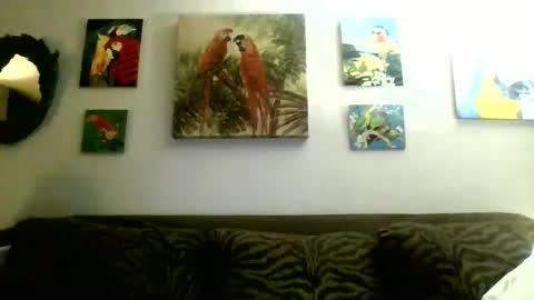 Snapshot of jay_jay1475 chatting on 02-17-25, 01:58 jay-jay1475 online show from 02-17-25, 01:58