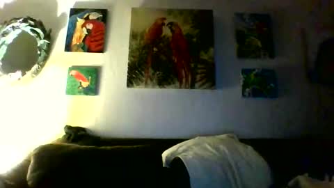 jay-jay1475 online show from 01-31-26, 10:08