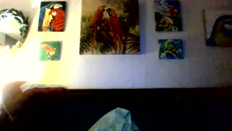 jay-jay1475 online show from 07-14-26, 06:57
