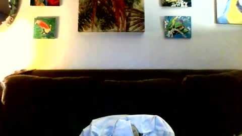 jay-jay1475 online show from 07-23-26, 06:50