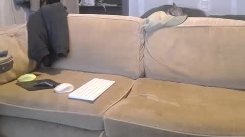 O F   jay short786 online show from 03-09-25, 04:49