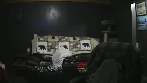 Grand Zaddy or Jay its casual online show from 09-21-25, 02:57