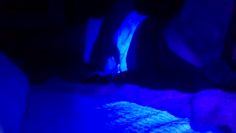 Jaysobricked online show from 02-07-25, 06:35