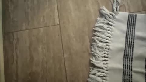 Snapshot of jbigblue chatting on 01-11-26, 01:49 jbigblue online show from 01-11-26, 01:49