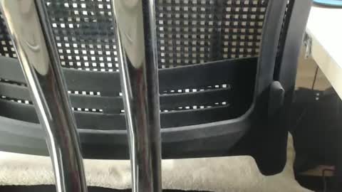 jc200000 online show from 02-17-25, 06:37