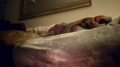 Snapshot of jcramirez1975 chatting on 12-21-24, 03:03 Jcramirez1975s online show from 12-21-24, 03:03