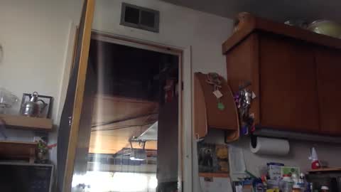 Snapshot of jdubba420 chatting on 10-27-25, 11:09 jdubba420 online show from 10-27-25, 11:09