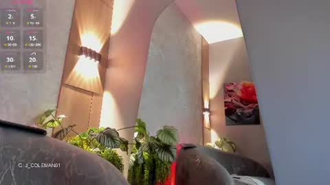 Jean Colleman online show from 07-23-26, 12:35
