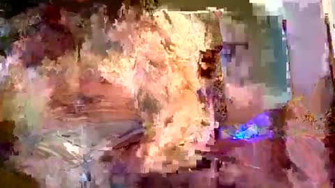 jedpiazza163893 online show from 01-18-26, 01:48