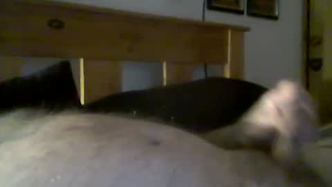 Snapshot of jerkmate6666 chatting on 03-15-26, 09:32 jerkmate6666 online show from 03-15-26, 09:32