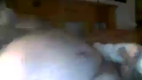jerkmate6666 online show from 07-15-26, 08:52