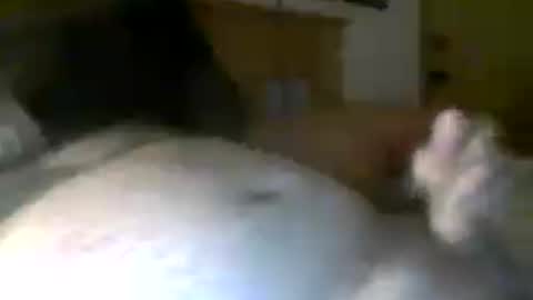 jerkmate6666 online show from 07-20-26, 06:28