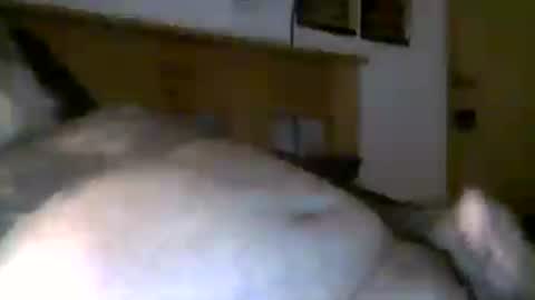 jerkmate6666 online show from 08-04-26, 08:39