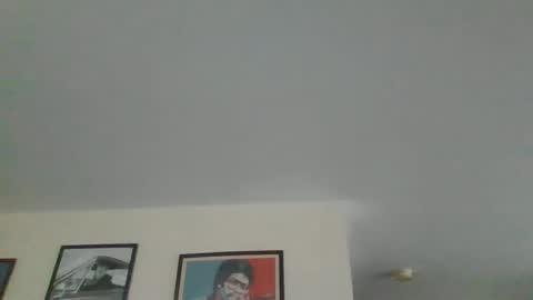 Snapshot of jerseyhammer01 chatting on 12-28-24, 09:31 Harry online show from 12-28-24, 09:31