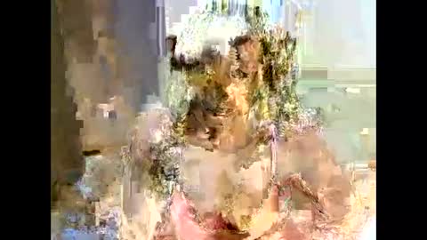Snapshot of jessajoyy chatting on 02-01-25, 04:11 jessajoyy online show from 02-01-25, 04:11