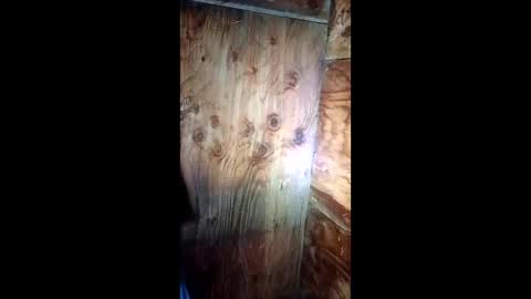 Snapshot of jessemwl8 chatting on 03-26-26, 11:16 jessemwl8 online show from 03-26-26, 11:16