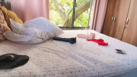 jessica_ts_vip online show from 04-29-26, 05:30