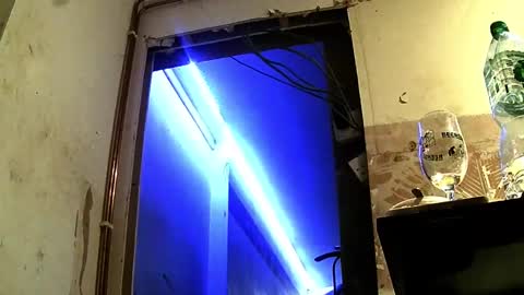 jhkhjku538466 online show from 02-17-25, 04:09