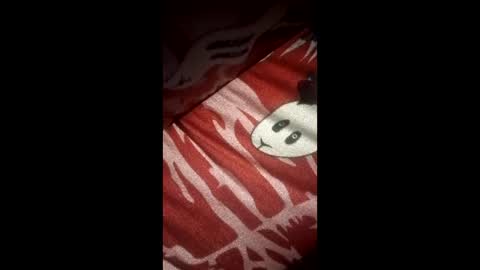 jhonteilorleonramirez277 online show from 03-22-26, 11:19