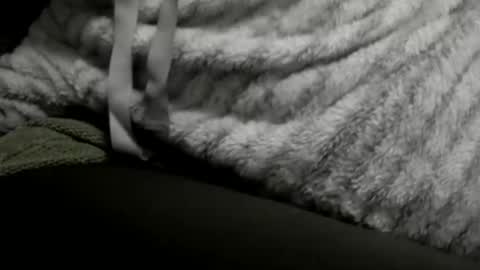 jimmiguel12345678 online show from 12-25-24, 02:14