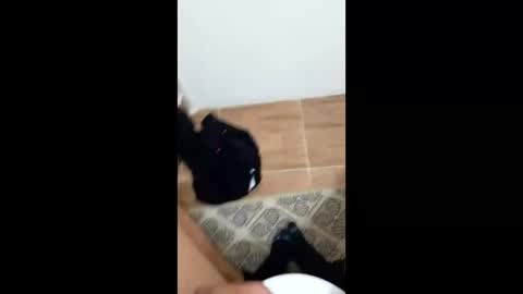 Snapshot of jixldfseepsv chatting on 01-17-26, 12:21 jixldfseepsv online show from 01-17-26, 12:21