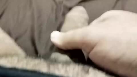 jj3377 online show from 10-26-25, 06:08