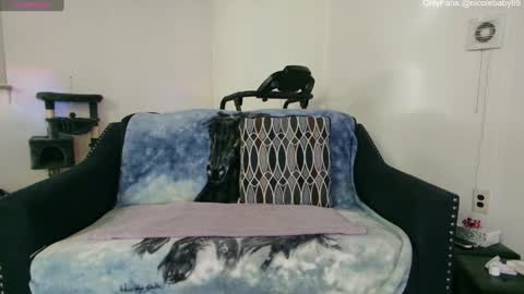 Snapshot of jjjust4fun1985 chatting on 12-22-24, 01:55 Nicole Allen online show from 12-22-24, 01:55