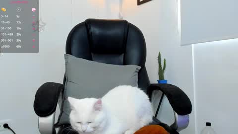 IGJmortton online show from 12-01-25, 02:33