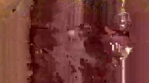 Snapshot of jodlsepp chatting on 12-12-24, 11:47 jodlsepp online show from 12-12-24, 11:47