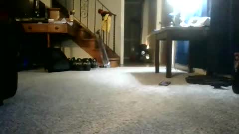Johnynasty87 online show from 06-07-26, 04:27