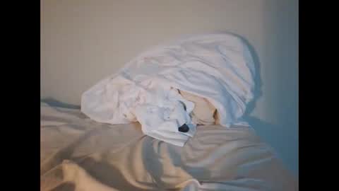 Snapshot of jojooo27 chatting on 02-14-26, 06:48 jojooo27 online show from 02-14-26, 06:48