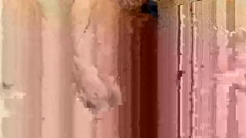 Snapshot of jonathanrossmyers858 chatting on 01-21-25, 03:48 jonathanrossmyers858 online show from 01-21-25, 03:48