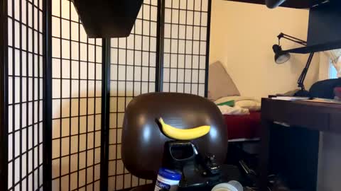 Snapshot of jondoe3657 chatting on 01-23-25, 03:58 jondoe3657 online show from 01-23-25, 03:58