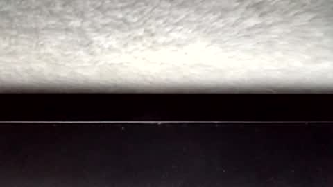 Snapshot of jonlovespussy6969 chatting on 03-31-26, 03:30 John loves pussy online show from 03-31-26, 03:30