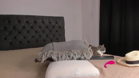 Snapshot of jordanmusk_ chatting on 12-01-24, 09:26 Will online show from 12-01-24, 09:26