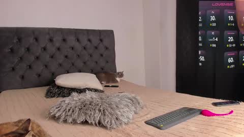 Snapshot of jordanmusk_ chatting on 12-28-24, 11:37 Will online show from 12-28-24, 11:37