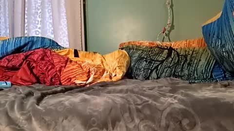 Snapshot of jorjina_x_mckie chatting on 01-09-25, 08:22 jorjina_x_mckie online show from 01-09-25, 08:22