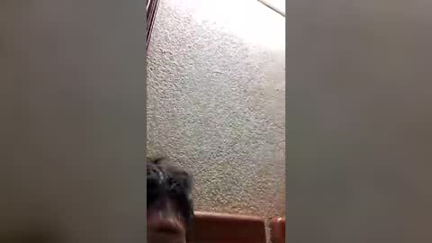 joselin2313 online show from 07-28-26, 03:02