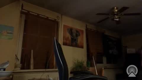 Snapshot of jott604214 chatting on 03-08-26, 08:23 jott604214 online show from 03-08-26, 08:23