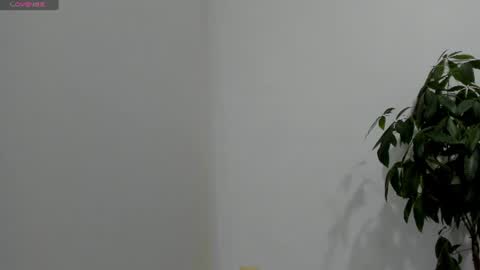 sofiaparker8 online show from 07-26-26, 11:33