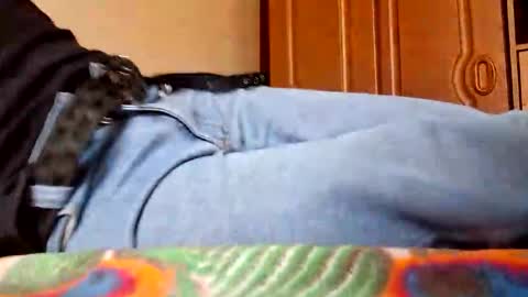 Snapshot of juan488826 chatting on 03-23-26, 06:01 juan488826 online show from 03-23-26, 06:01