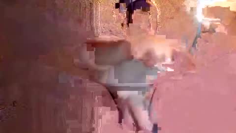 Snapshot of juan575390 chatting on 12-17-24, 01:07 juan575390 online show from 12-17-24, 01:07