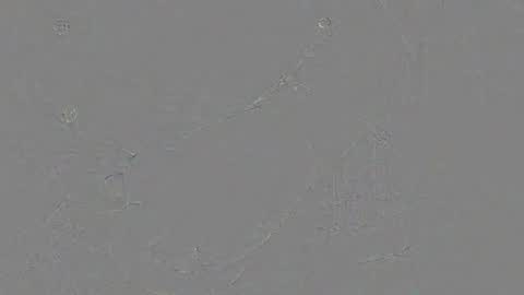 Snapshot of juergen_schoenfeld chatting on 11-24-25, 10:48 Jrgen Schnfeld online show from 11-24-25, 10:48