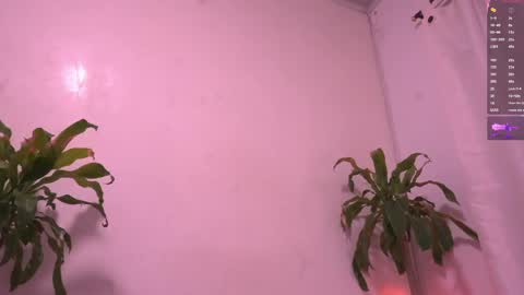 Snapshot of juice6abby9 chatting on 05-15-26, 03:02 Sisi online show from 05-15-26, 03:02