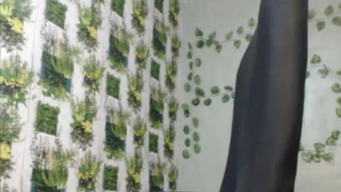 Snapshot of juicy_gold22 chatting on 12-09-24, 11:58 Mariagold online show from 12-09-24, 11:58