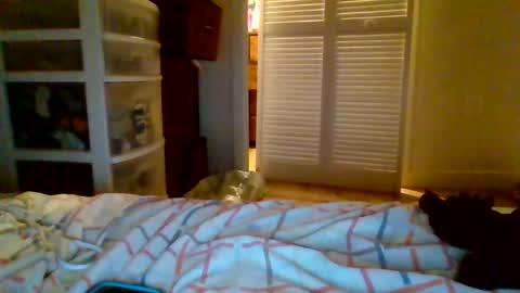 juicylatinabbw online show from 05-13-26, 06:44