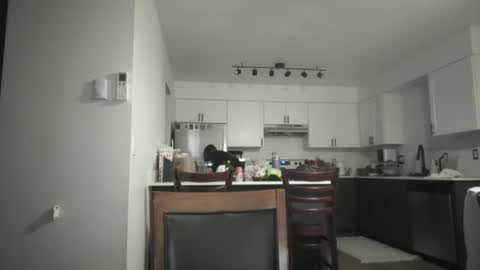 Snapshot of juicysavanah chatting on 12-05-25, 05:05 Sav online show from 12-05-25, 05:05